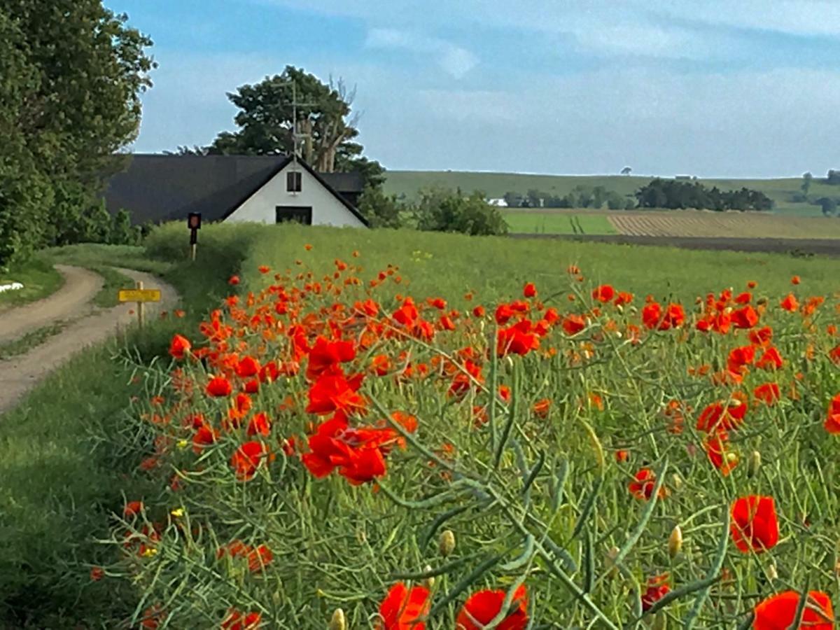 Wingardhs B&B Oesterlen Löderup Kültér fotó